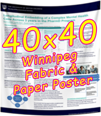 Winnipeg Fabric & Paper Research Poster 40x40 from $50 cad