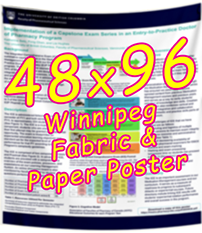 Winnipeg Fabric & Paper Research Poster 48x96 from $130 cad