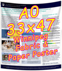 Winnipeg Fabric & Paper Research Poster A0 33x47 from $45 cad